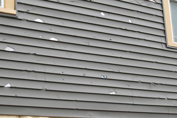 Best Residential Vinyl Siding Installation  in USA